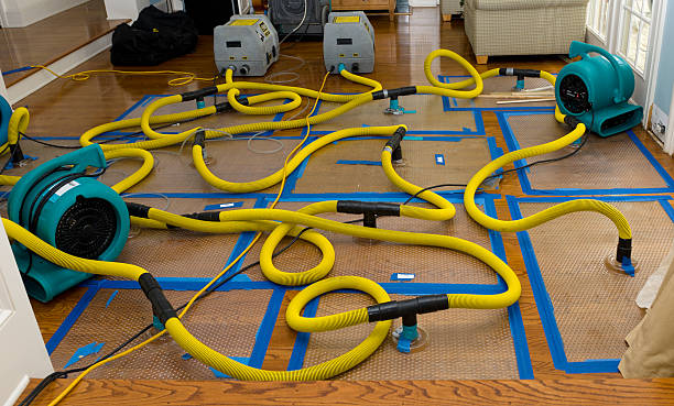 Professional Crawl Space Water Removal technician working in Strawn, TX